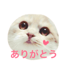 スコまろ すたんぷpart2（個別スタンプ：1）