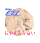 スコまろ すたんぷpart2（個別スタンプ：2）