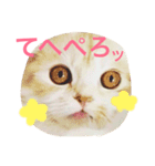 スコまろ すたんぷpart2（個別スタンプ：5）