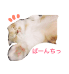 スコまろ すたんぷpart2（個別スタンプ：6）