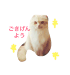 スコまろ すたんぷpart2（個別スタンプ：8）