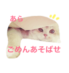 スコまろ すたんぷpart2（個別スタンプ：9）
