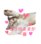 スコまろ すたんぷpart2（個別スタンプ：13）