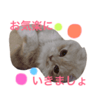 スコまろ すたんぷpart2（個別スタンプ：14）