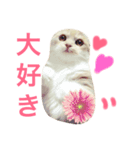 スコまろ すたんぷpart2（個別スタンプ：15）