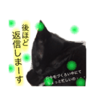 黒猫のジローくん2（個別スタンプ：5）