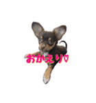 レオ君と友達のみぃちゃん（個別スタンプ：21）