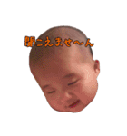 虹遙のスタンプ2（個別スタンプ：8）