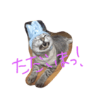 レオ＆グンちゃん（個別スタンプ：8）