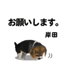 岸田さん用の名前スタンプ・子犬イラスト（個別スタンプ：1）