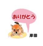 岸田さん用の名前スタンプ・子犬イラスト（個別スタンプ：3）