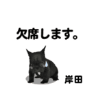 岸田さん用の名前スタンプ・子犬イラスト（個別スタンプ：8）