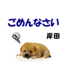 岸田さん用の名前スタンプ・子犬イラスト（個別スタンプ：9）