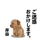 岸田さん用の名前スタンプ・子犬イラスト（個別スタンプ：10）