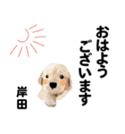 岸田さん用の名前スタンプ・子犬イラスト（個別スタンプ：17）