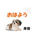 岸田さん用の名前スタンプ・子犬イラスト（個別スタンプ：18）