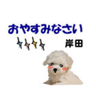 岸田さん用の名前スタンプ・子犬イラスト（個別スタンプ：21）