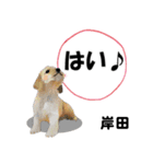 岸田さん用の名前スタンプ・子犬イラスト（個別スタンプ：22）