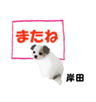 岸田さん用の名前スタンプ・子犬イラスト（個別スタンプ：23）