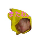 CUTEchildren:（個別スタンプ：14）