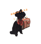 黒プーのブンダバーくん（個別スタンプ：4）