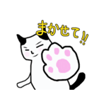 パンダ猫（個別スタンプ：14）