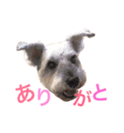 大谷だいふく（個別スタンプ：6）