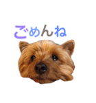 大谷だいふく（個別スタンプ：7）