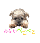 大谷だいふく（個別スタンプ：10）