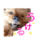 大谷だいふく（個別スタンプ：15）