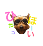 大谷だいふく（個別スタンプ：19）