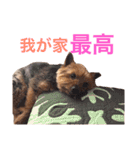 大谷だいふく（個別スタンプ：23）