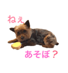 大谷だいふく（個別スタンプ：24）