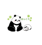 チビとパンダの日常（個別スタンプ：32）