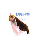 三匹の猫スタンプ（個別スタンプ：2）
