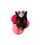 三匹の猫スタンプ（個別スタンプ：8）