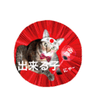 三匹の猫スタンプ（個別スタンプ：21）