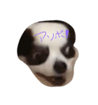 れみちゃん．（個別スタンプ：7）