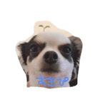れみちゃん．（個別スタンプ：8）