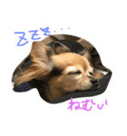 桃梅ランド①（個別スタンプ：1）