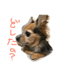 桃梅ランド①（個別スタンプ：3）
