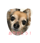桃梅ランド①（個別スタンプ：5）