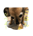 桃梅ランド①（個別スタンプ：6）