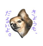 桃梅ランド①（個別スタンプ：7）