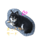 桃梅ランド①（個別スタンプ：14）