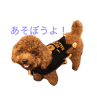もこもこ日記 トイプードル♂もこちゃん（個別スタンプ：4）