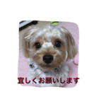 アンジュの日常〈敬語編〉（個別スタンプ：9）