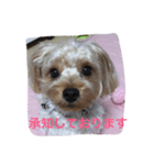 アンジュの日常〈敬語編〉（個別スタンプ：10）