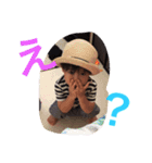 山本Family（個別スタンプ：23）