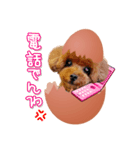 teamヒヨコ犬（個別スタンプ：1）